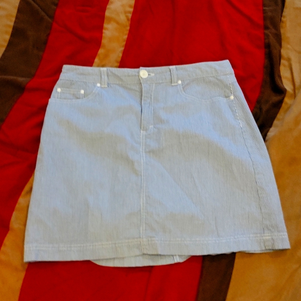 Light blue and white skirt